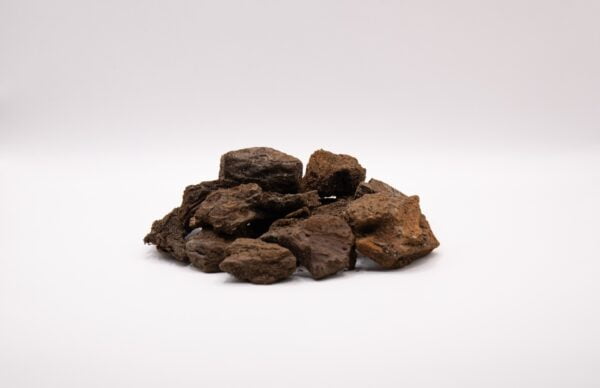 Franse Boomschors (dennen)